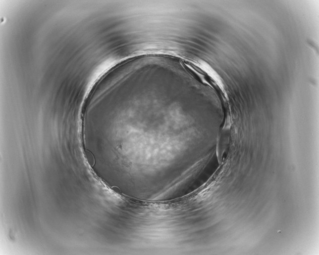 X0000093221096200710241212