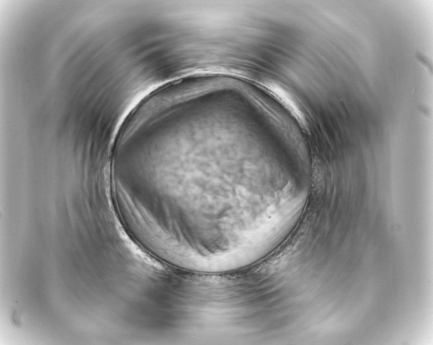 X0000093221100200710241212