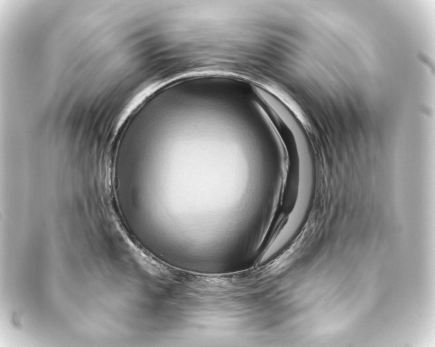 X0000093221101200710241212