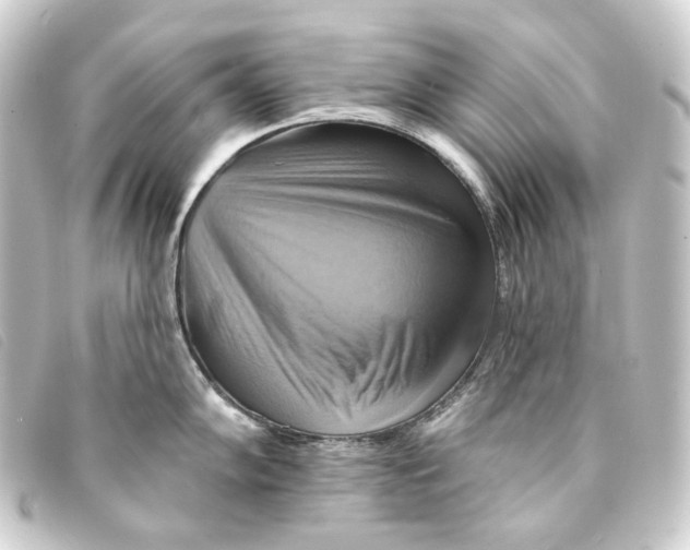 X0000093221102200710241212