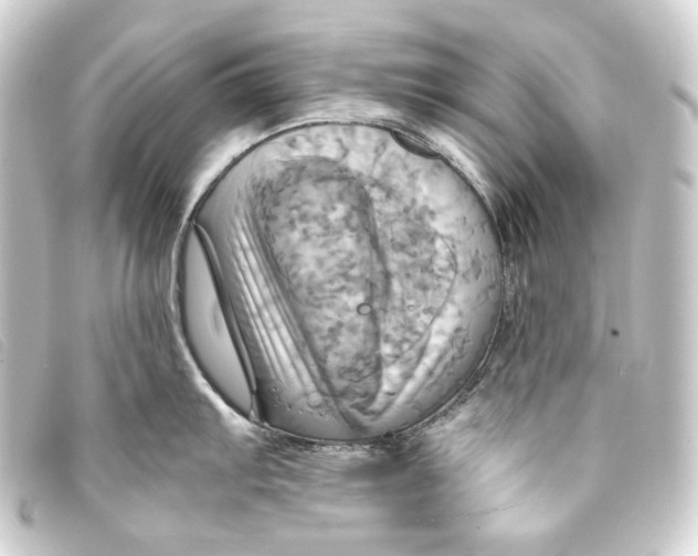 X0000093221103200710241212