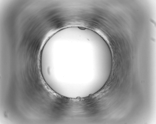 X0000093221104200710241212