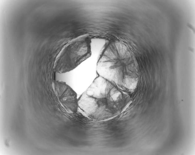 X0000093221105200710241211