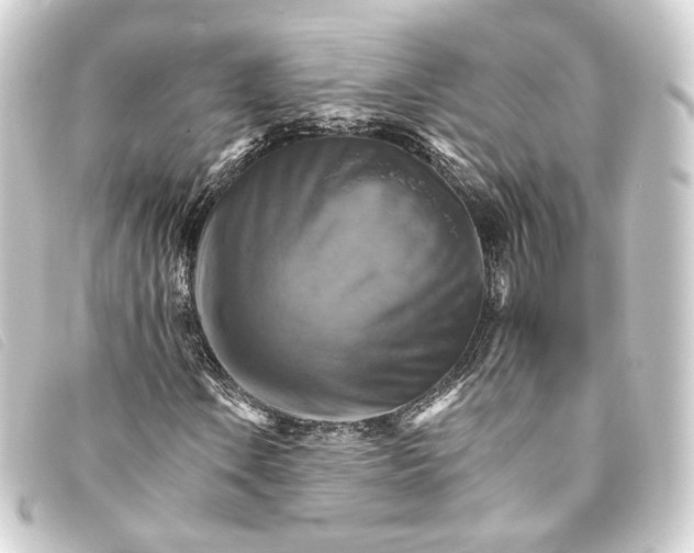 X0000093221106200710241211