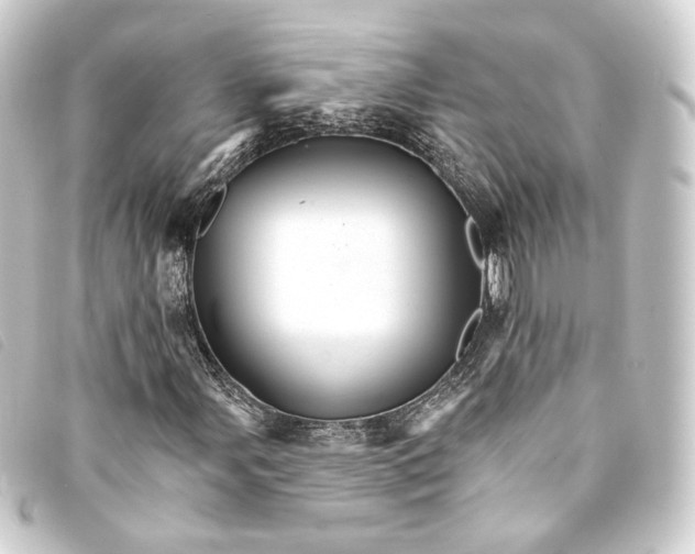 X0000093221107200710241211