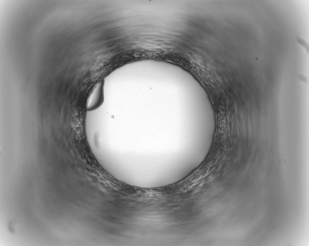 X0000093221109200710241211