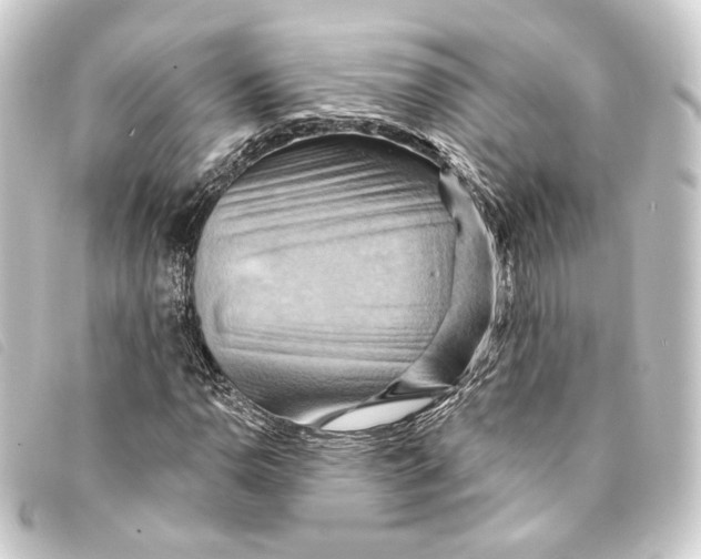 X0000093221110200710241211