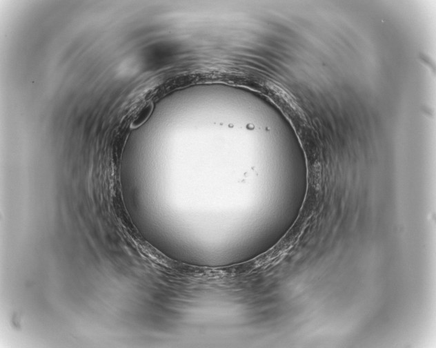 X0000093221111200710241211