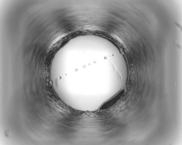 X0000093221112200710241211