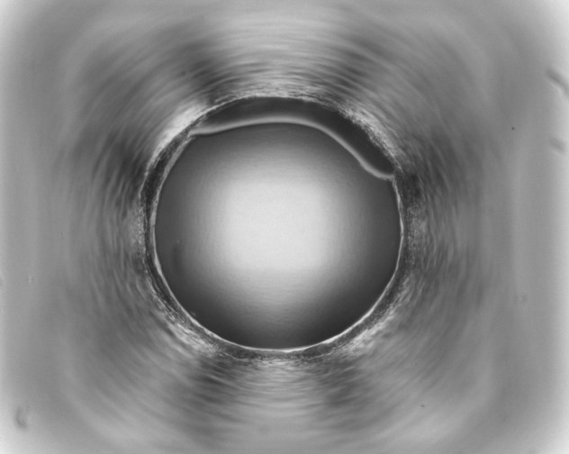 X0000093221114200710241211