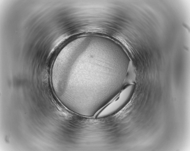 X0000093221115200710241211