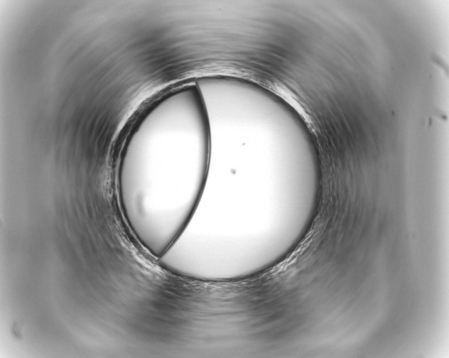 X0000093221116200710241211