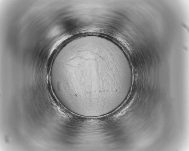 X0000093221117200710241211