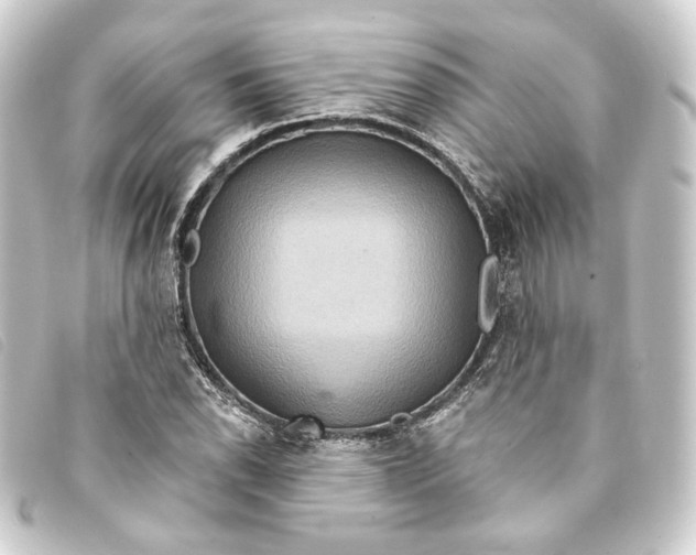 X0000093221118200710241211