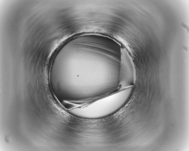 X0000093221120200710241211