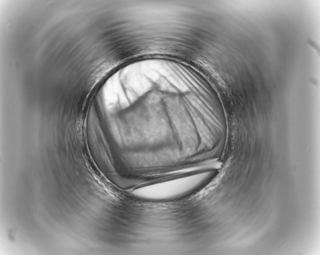 X0000093221121200710241211