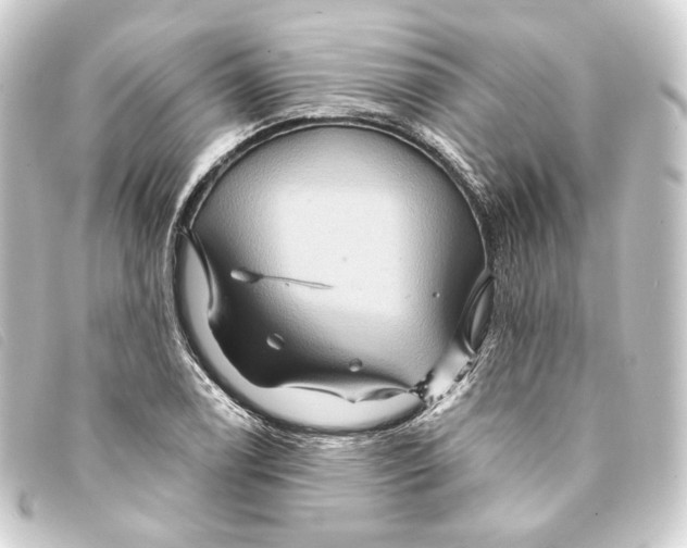 X0000093221122200710241211