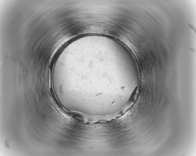 X0000093221123200710241211