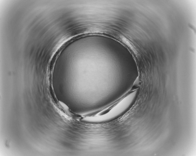 X0000093221124200710241211