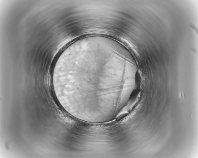 X0000093221125200710241211