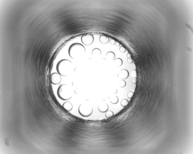 X0000093221126200710241211