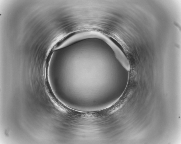 X0000093221128200710241211