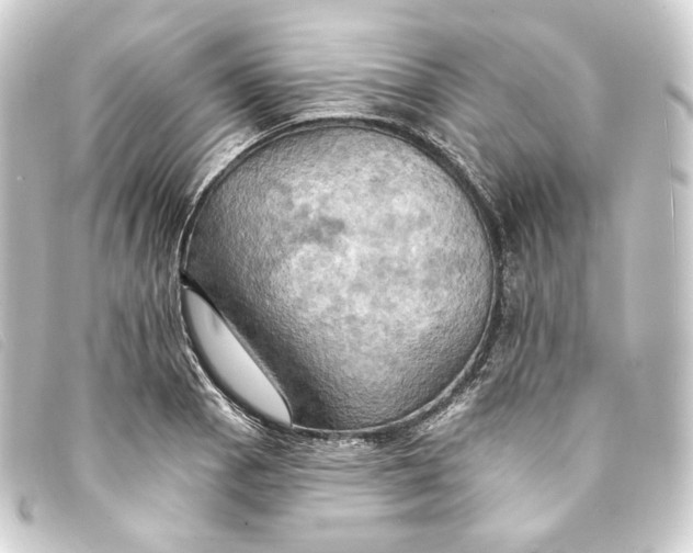 X0000093221129200710241211