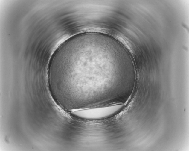 X0000093221133200710241212