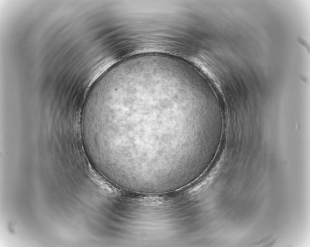 X0000093221137200710241212