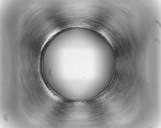 X0000093221139200710241212