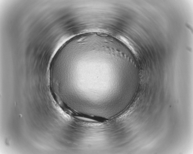 X0000093221140200710241212