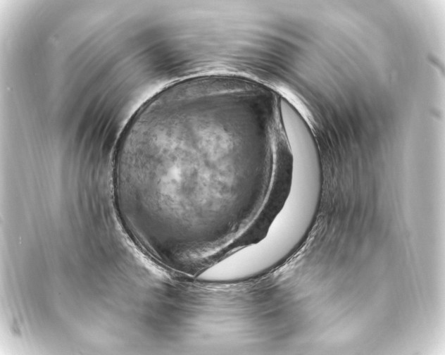 X0000093221142200710241212