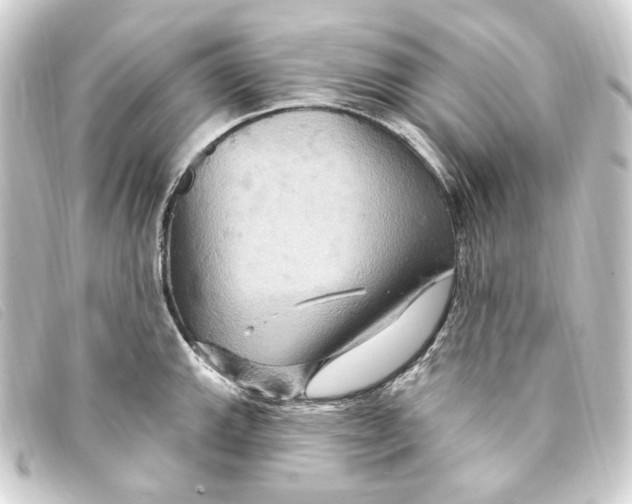 X0000093221143200710241212