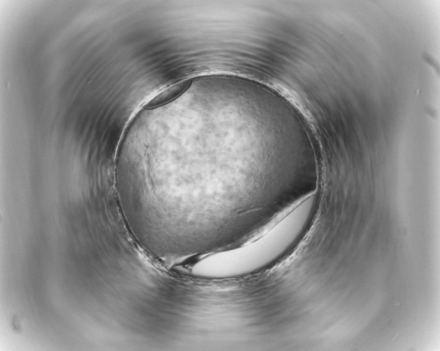 X0000093221145200710241212