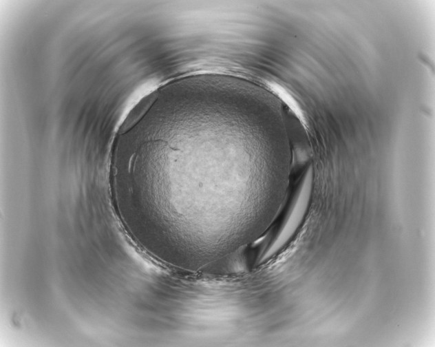 X0000093221146200710241212