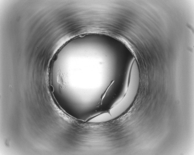 X0000093221147200710241212