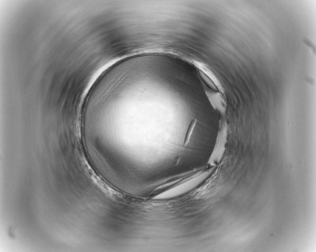 X0000093221148200710241212