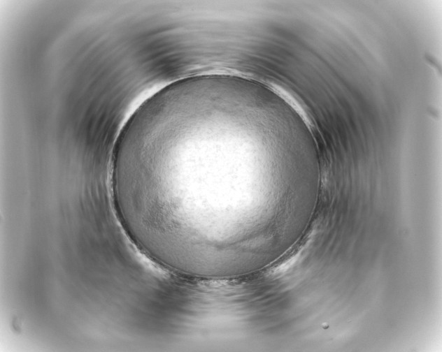 X0000093221149200710241212