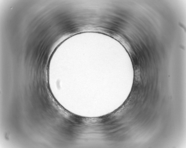 X0000093221150200710241212