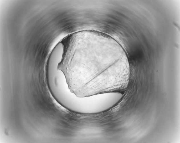 X0000093221151200710241212