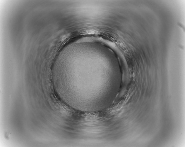 X0000093221153200710241211