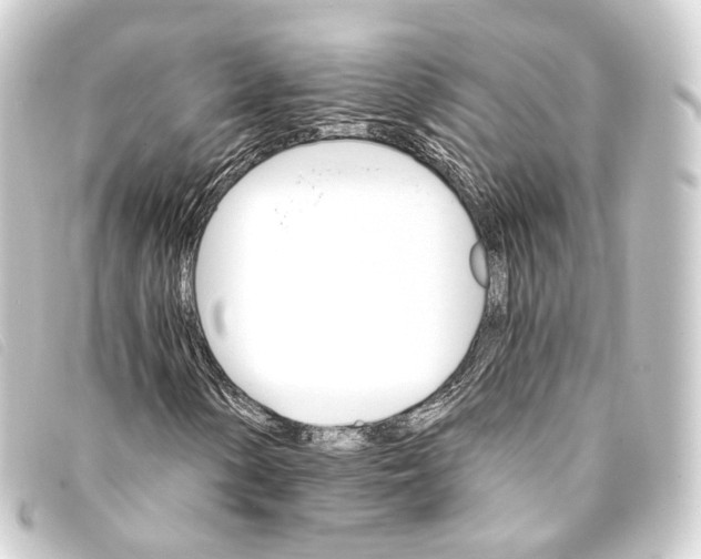 X0000093221154200710241211