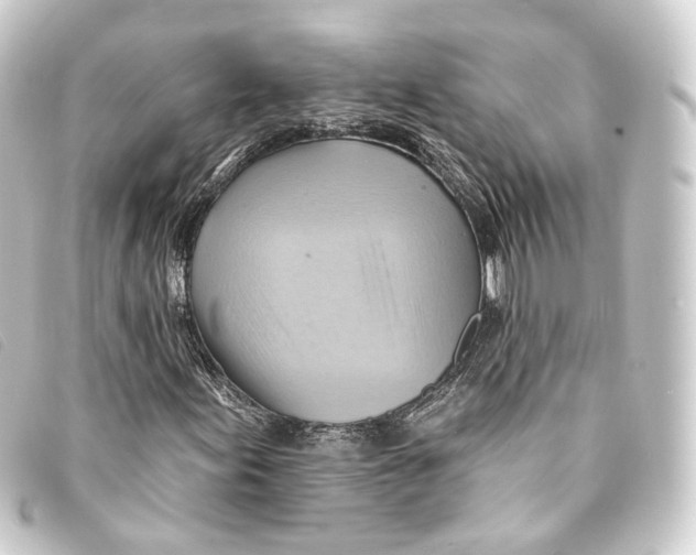 X0000093221155200710241211