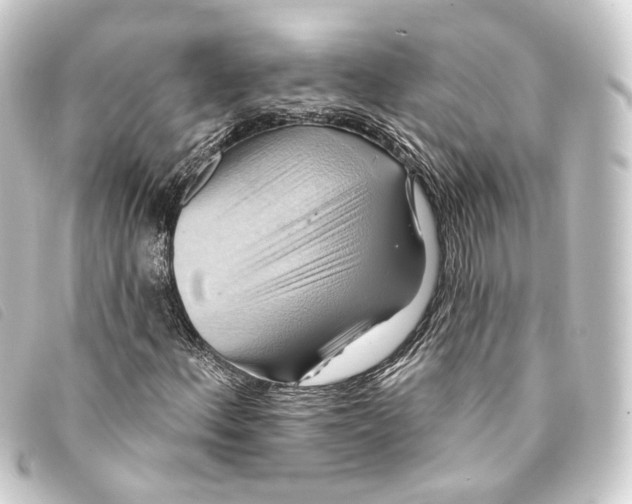 X0000093221156200710241211