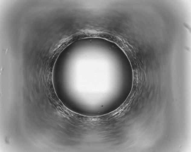 X0000093221157200710241211