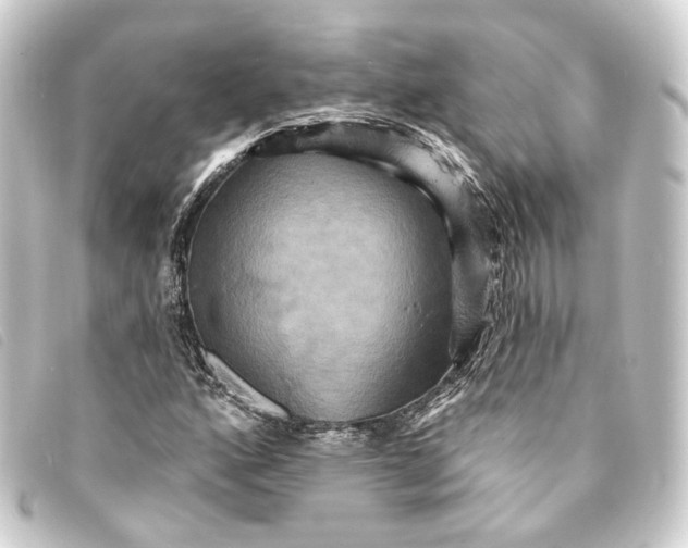 X0000093221160200710241211