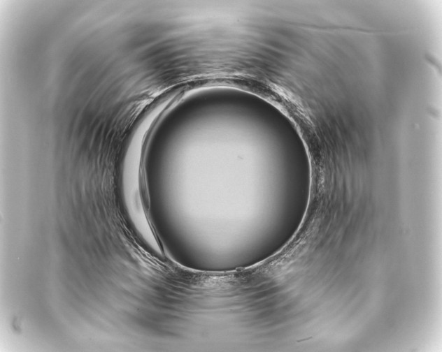 X0000093221161200710241211