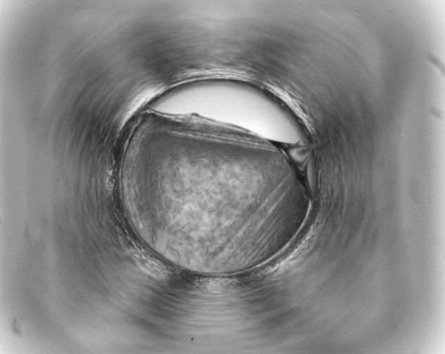 X0000093221163200710241211