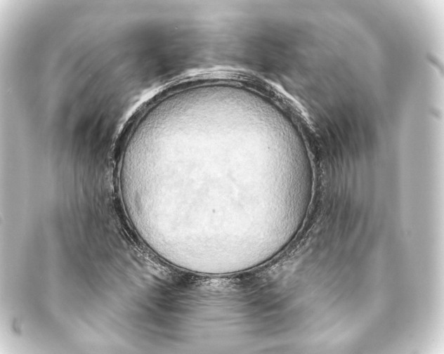 X0000093221166200710241211