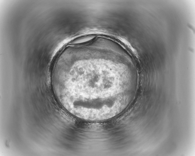 X0000093221167200710241211